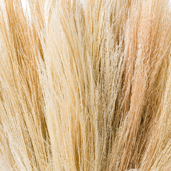 Bleached White Broom Grass
