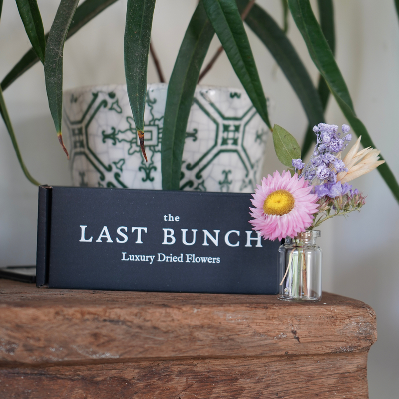 A pink and purple dried flower mini bouquet in a mini vase with its packaging