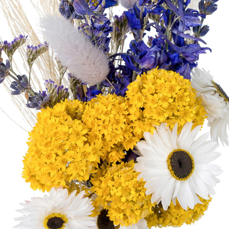 Blue and yellow small dried flower bouquet + vase