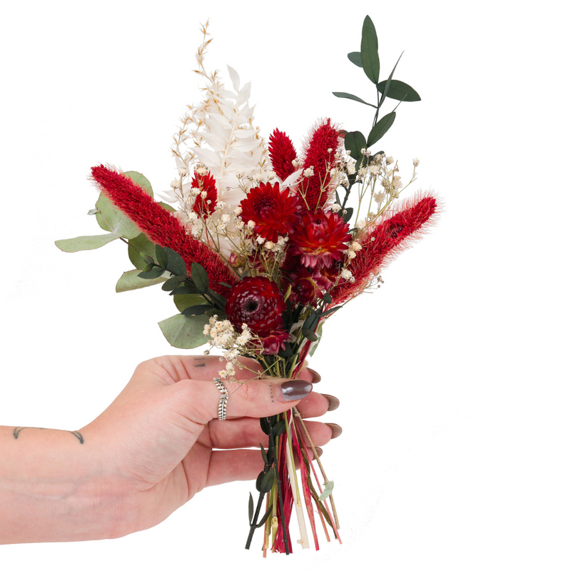 Red and green small Christmas dried flower bouquet + vase