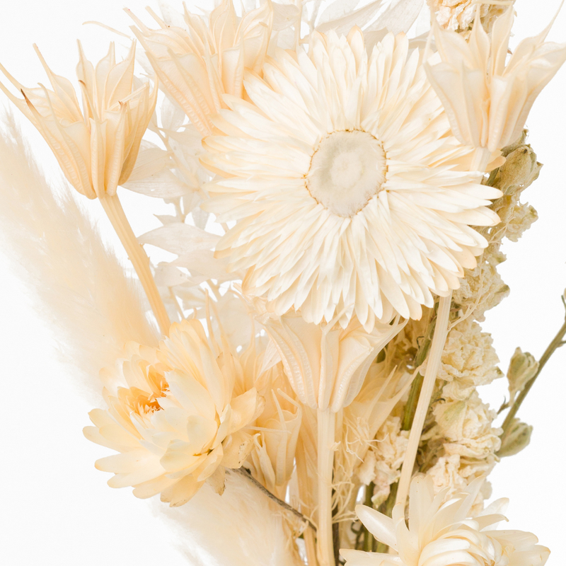 Cream small dried flower bouquet + vase