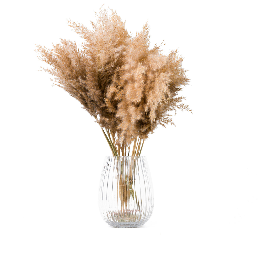 Florist-Grade Individual Dried Flower Stems & Bunches – The Last Bunch