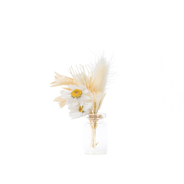 A white mini bouquet made from dried flowers that are not toxic for pets in a mini vase
