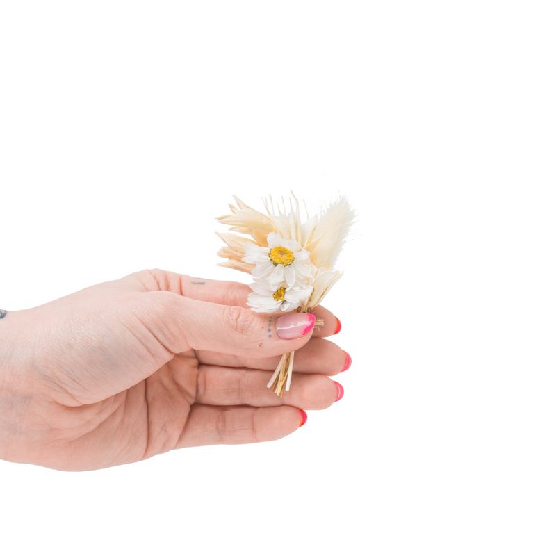 A white mini bouquet made from dried flowers that are not toxic for pets in a hand