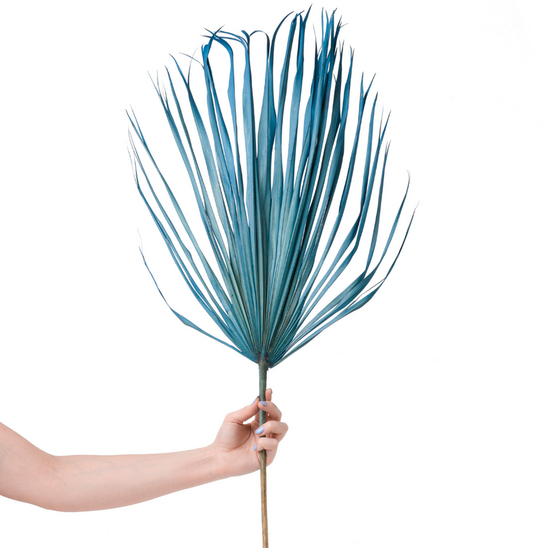 Blue Palm Leaf