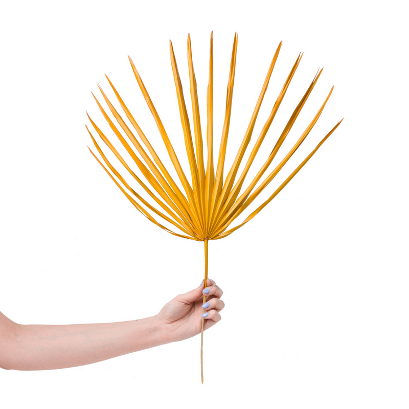 Orange Palm Leaf