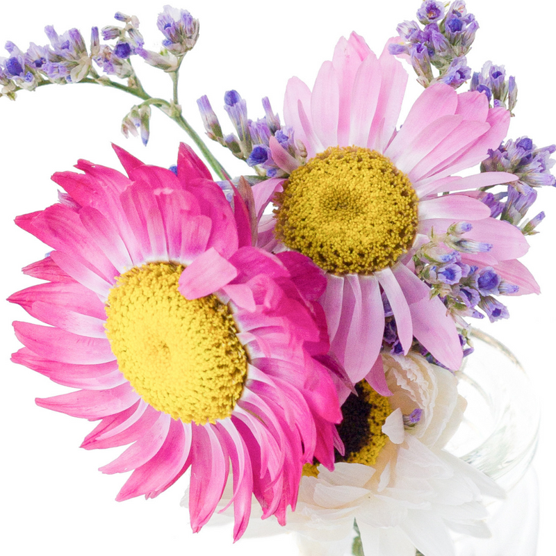 A close up of a pink and white dried flower mini bouquet in a mini vase