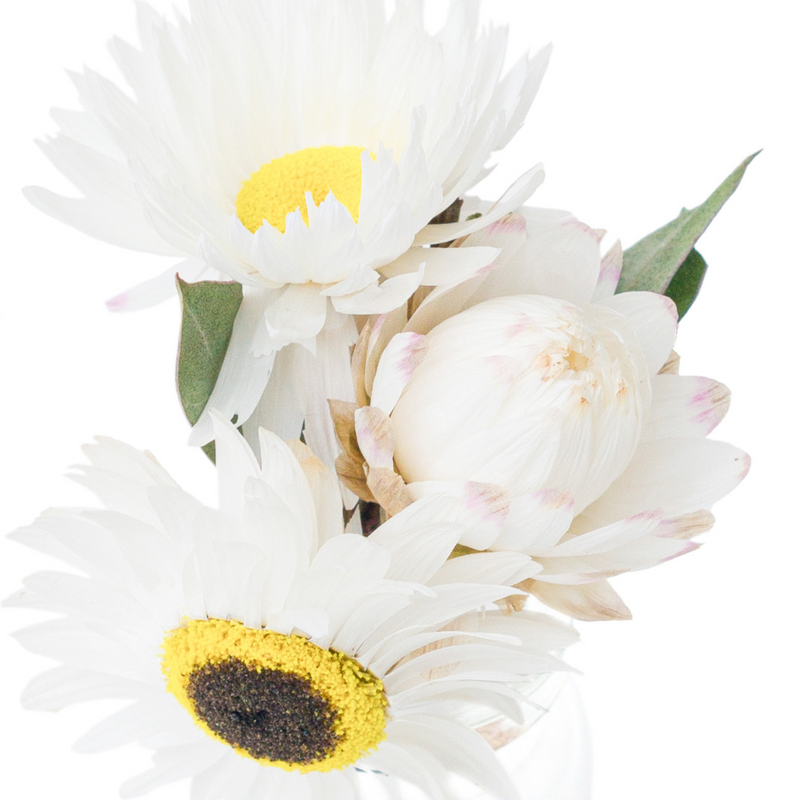 A close up of a white dried flower mini bouquet