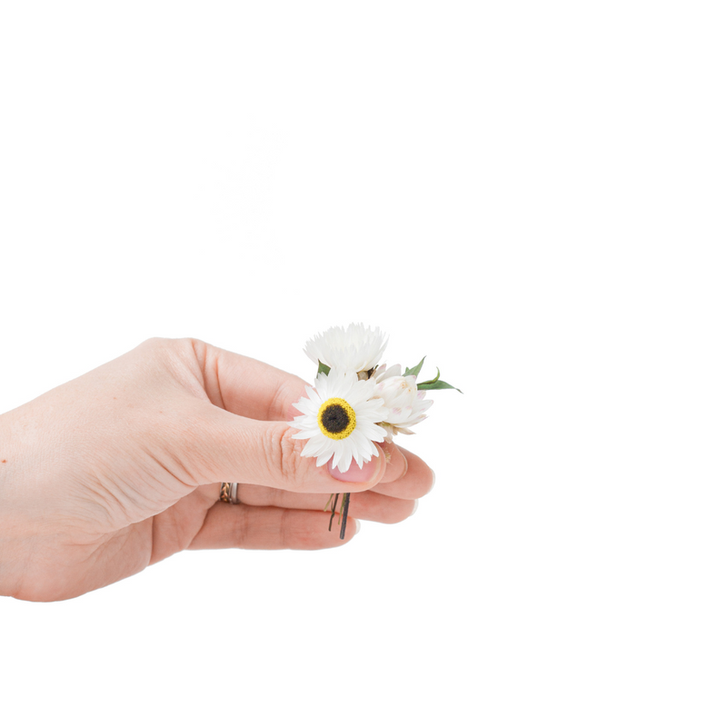 Dried Flowers Mini Bouquet Small Cute Flower Dried Bouquets With Chamomile  Flower - Buy Dried Flowers Mini Bouquet Small Cute Flower Dried Bouquets  With Chamomile Flower Product on