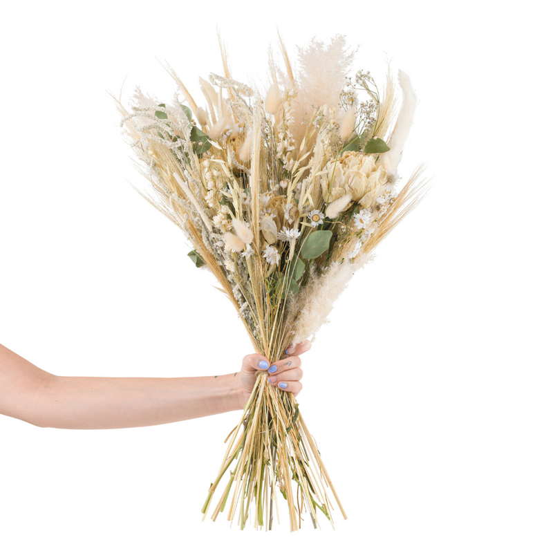 A cream dried flower bouquet with dried peonies