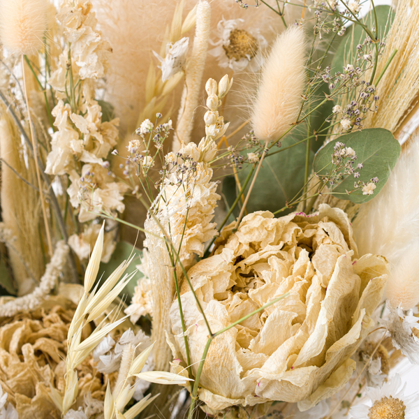 A close up of a cream dried flower bouquet with dried peonies