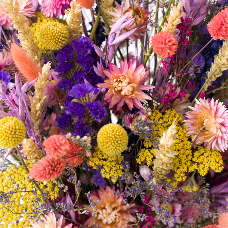 A close up of a bright and colourful dried flower bouquet