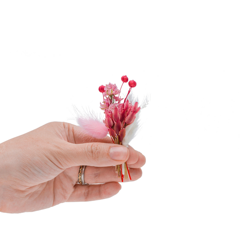 A pink and red dried flower mini bouquet in a hand