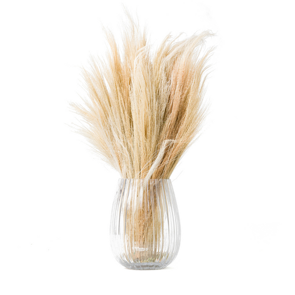 Bleached White Broom Grass